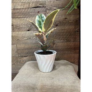 Bauer Pottery 6" Atlanta Ivory White Swirl Wave Flower Pot Vase Vintage MCM USA